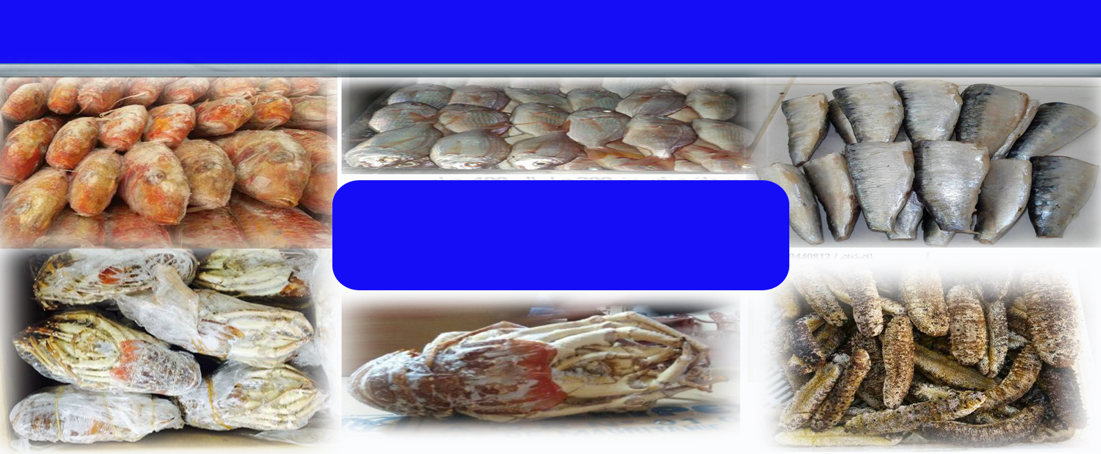 slider image 5